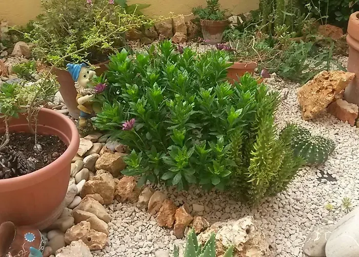 Oda ve Kahvaltı Si Sta Bene